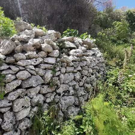 Anna 1924 גאליאנו דל קאפו