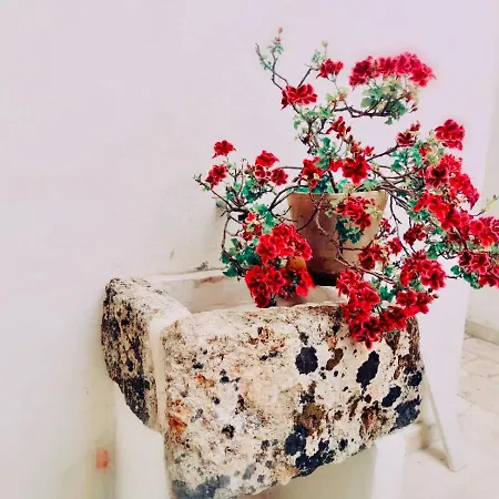 Anna 1924 Отель типа 