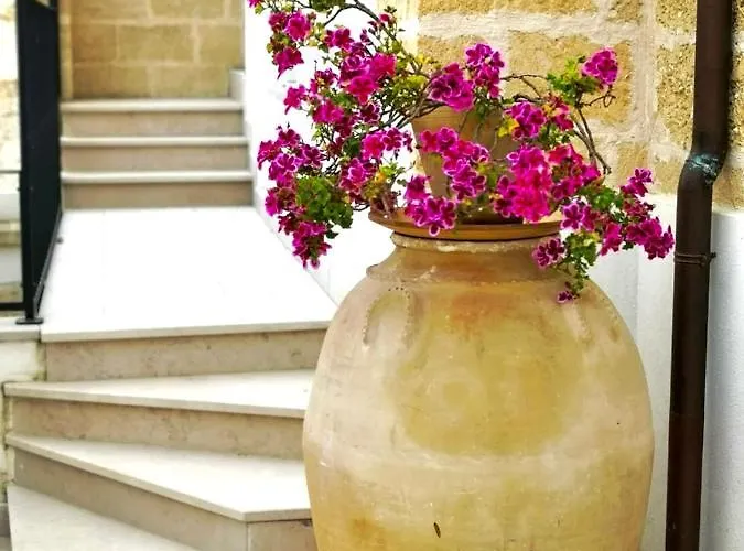 住宿加早餐酒店 Anna 1924 加利亚诺德尔卡波