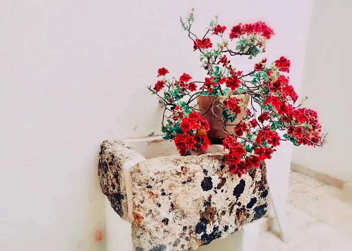 Anna 1924 Bed & Breakfast 3*